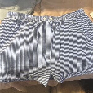 Blue and White Striped Shorts